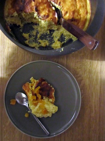 Apricot yoghurt cake - sugar free_1